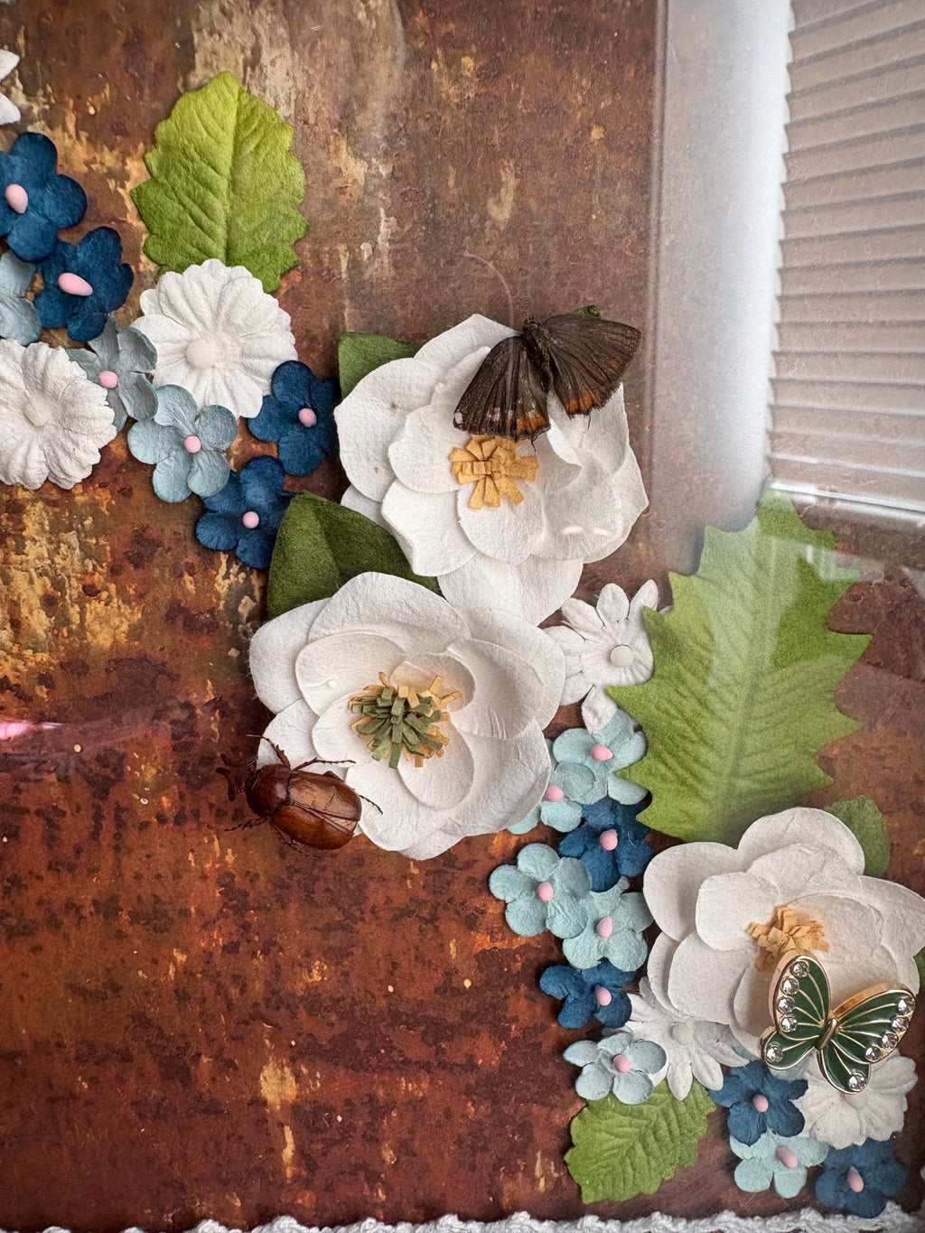 Moth and beetle art