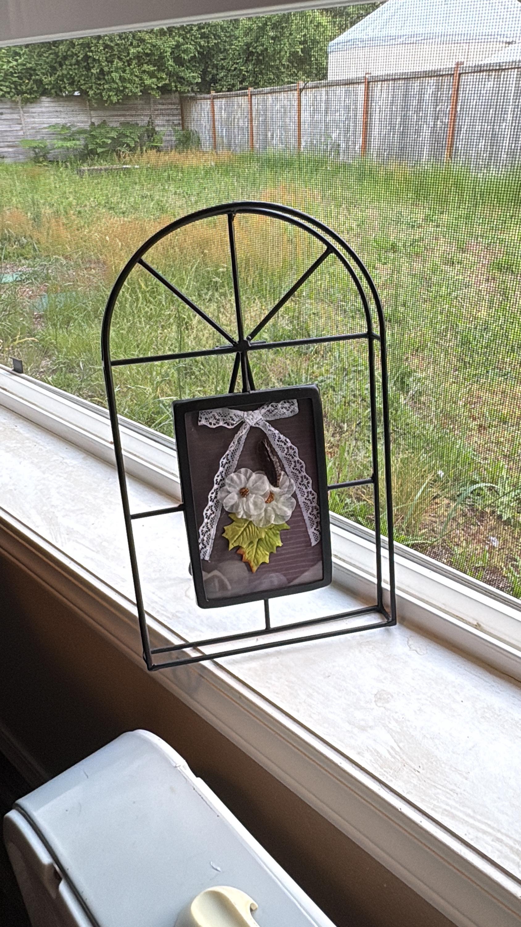 Framed bug art