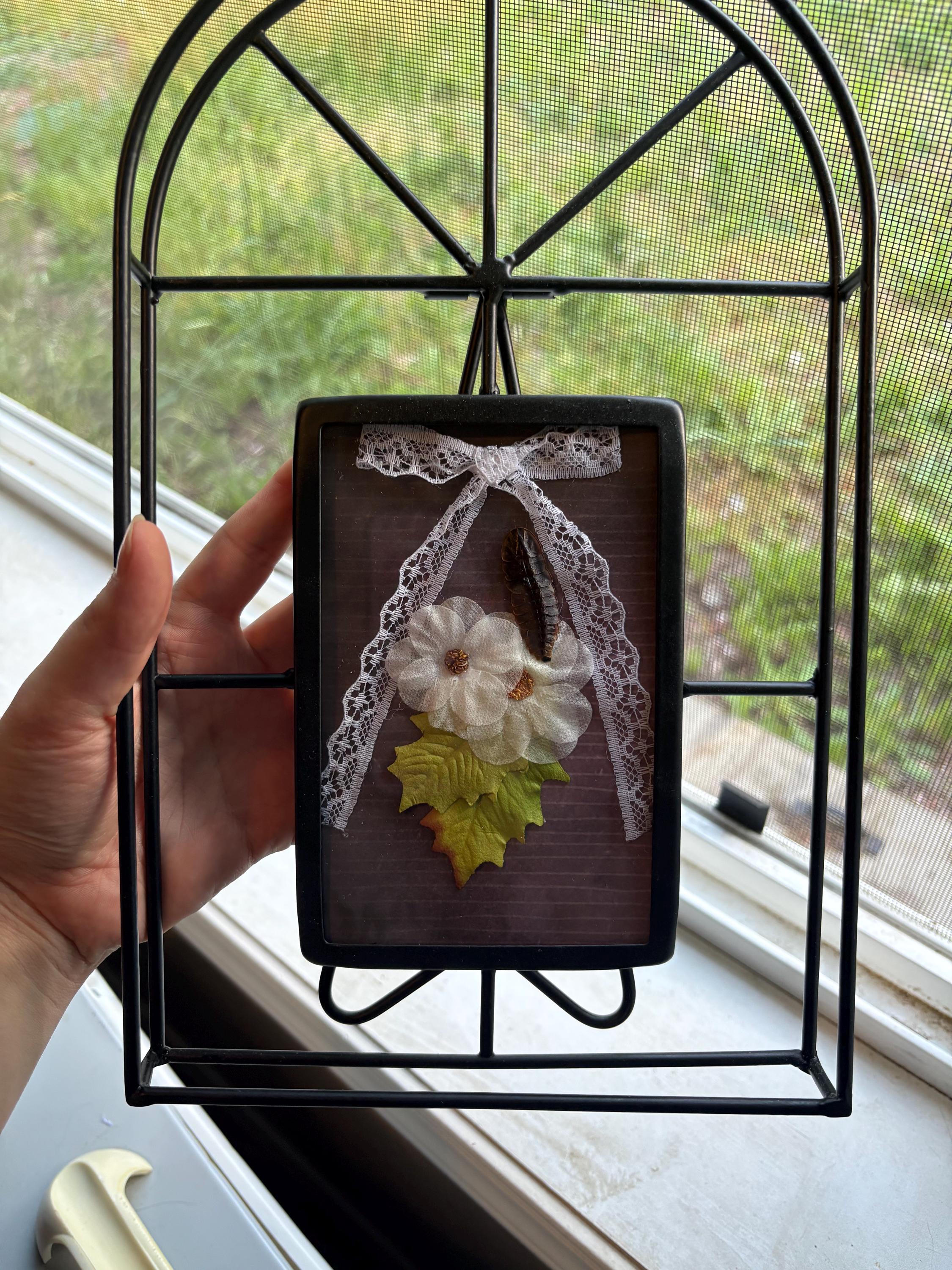 Framed bug art