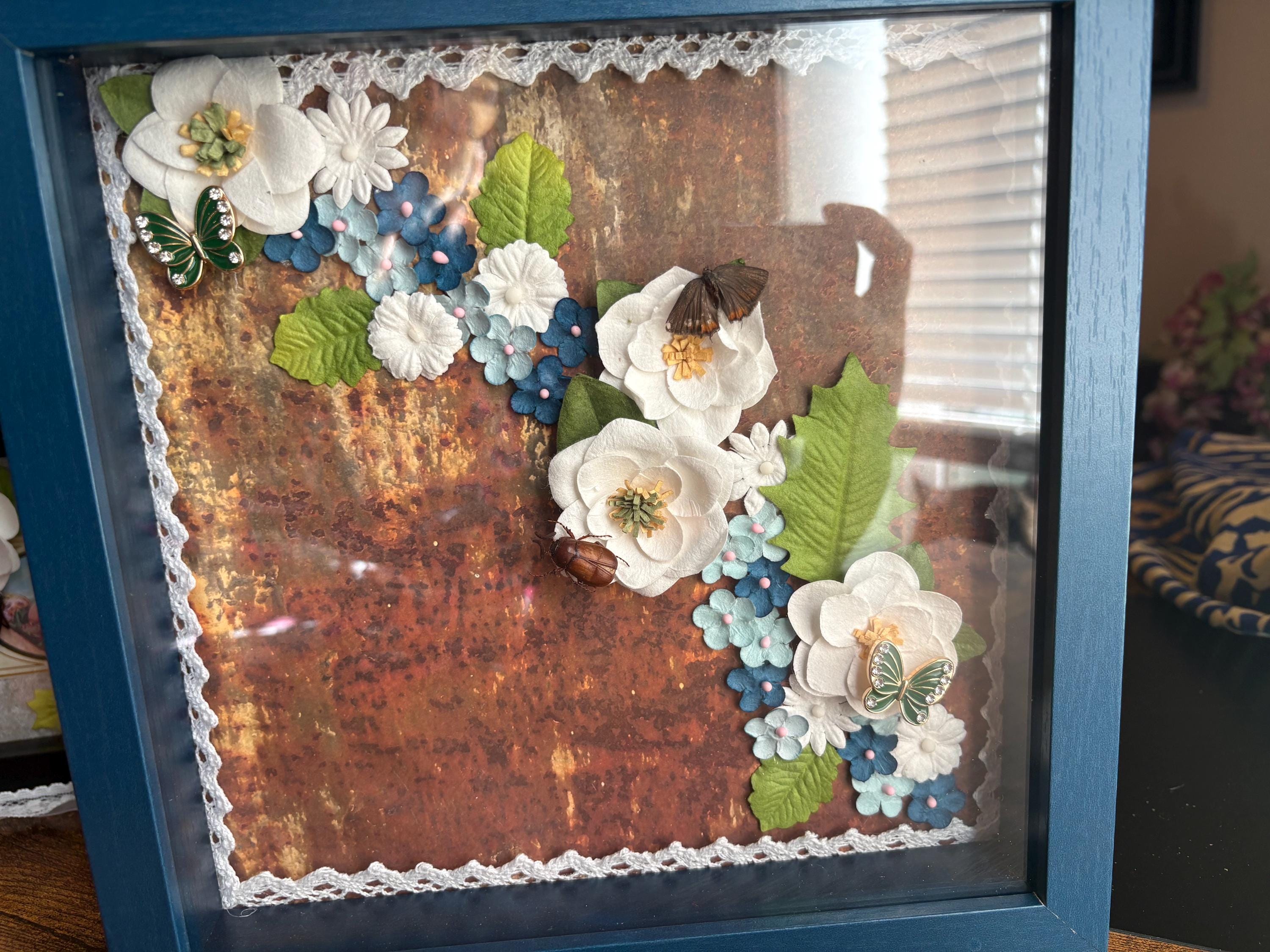Moth and beetle art
