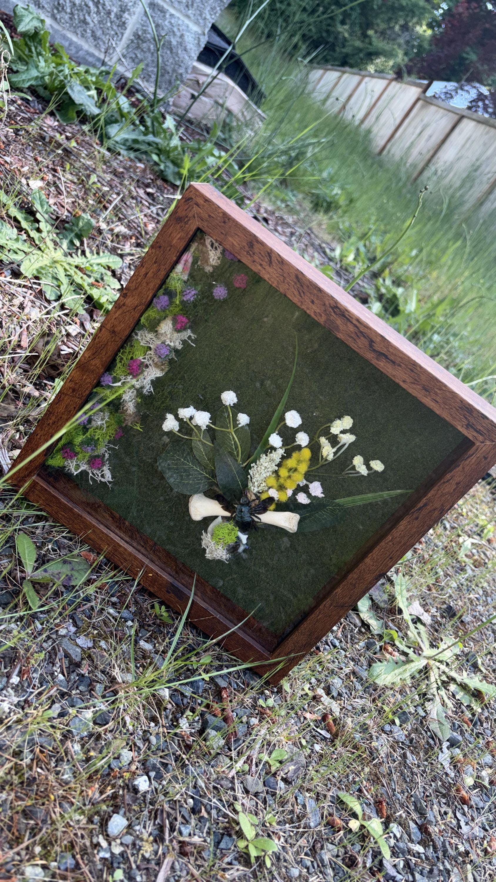Preserved Blue bee