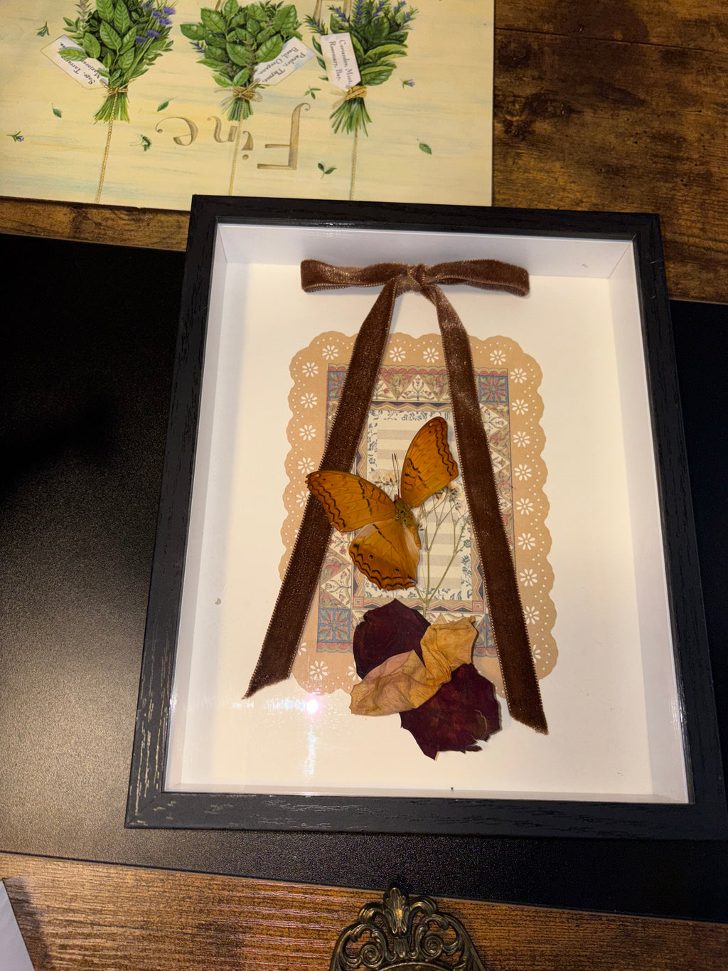 Framed Cruiser Butterfly (Vindula dejone) with Dried Botanicals and Velvet Ribbon