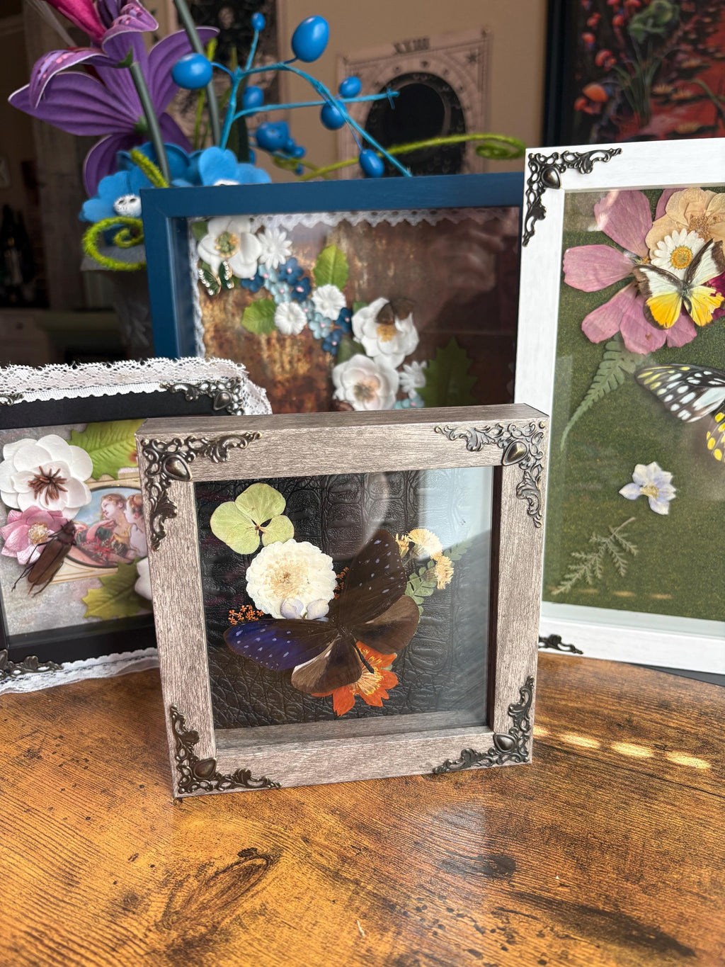 Pinned Butterfly Shadowbox Art – Preserved Insect Display